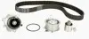 Комплект ГРМ з насосом Audi A2 1.4 TDI/Seat I CONTINENTAL CT1028WP1 (фото 1)