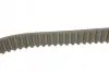 Комплект ГРМ + помпа Audi A3/A4/A6/Skoda Octavia/VW Golf/Passat/Bora 1.9TDI 95-10 (30x120z) CONTINENTAL CT1028WP7 (фото 2)