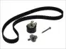 Комплект ГРМ Renault Clio/Kangoo/Megane/Dacia Duster 1.5dCi 01- (27x123z) CT1035K1