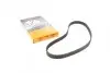 Ремень ГРМ Fiat Doblo/Opel Combo 10-/Jeep Compass/Renegade 1.4i 14- (124x22) CT1049