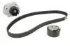 Комплект ГРМ + насос Fiat Doblo/Palio/Panda/Punto/Stilo/Tipo/Opel Combo 1.4i 10- (22x124z) CONTINENTAL CT1049WP1 (фото 2)