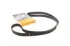 Ремень ГРМ Subaru Forester/Impreza/Legacy 1.5/2.0/2.5i 92- (30x281z) CT1058