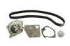 Комплект ГРМ + помпа Nissan Primera 1.9dCi 02-/Renault Scenic/Megane 1.9dCi 03-(26x133z) CONTINENTAL CT1064WP2 (фото 2)
