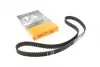 Ремень ГРМ Citroen C2/C3/C4/Peugeot 1007/206/307 1.4 16V 03- (25x135z) CT1101