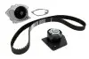 Комплект ГРМ + помпа Renault Megane/Scenic/Grand Scenic 1.9 dCi 09- (133x26) CONTINENTAL CT1150WP1 (фото 1)