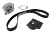 Комплект ГРМ + помпа Renault Megane/Scenic/Grand Scenic 1.9 dCi 09- (133x26) CONTINENTAL CT1150WP1 (фото 2)