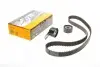 Комплект ГРМ Citroen Berlingo/Jumpy/Peugeot Partner 1.6HDI/Fiat Scudo 2.0D 08- CONTINENTAL CT1162K2 (фото 1)