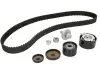 Комплект ГРМ Renault Clio/Laguna/Megane/Scenic/Twingo 1.6 16V 02- (27.4x132z) CONTINENTAL CT1179K4 (фото 2)