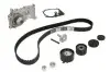 Комплект ГРМ + насос Renault Clio III/Laguna III/Megane III/ Scenic III 1.6 16V 05- (27.4x132z) CONTINENTAL CT1179WP4 (фото 1)