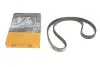 Ремінь ГРМ Citroen Berlingo/C3-C5/Peugeot Expert/Ford Focus/Connect 1.5BlueHDi 18- (20x131z) CONTINENTAL CT1230 (фото 1)