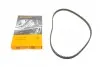 Ремінь ГРМ Fiat Scudo/Citroen Jumpy/Peugeot Expert 1.6 96-06 (15x138z) CT605