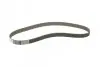 Ремінь ГРМ VW LT 2.4D 82-96/Audi 100 2.0D/TD 78-90 (119x25) CONTINENTAL CT704 (фото 5)