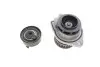 Комплект ГРМ + помпа VW Caddy II/Polo 1.0/1.4 95-04 CONTINENTAL CT846WP2 (фото 10)