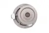 Комплект ГРМ + помпа Opel Astra/Vectra/Omega/Daewoo Nubira/Chevrolet Lacetti 1.8-2.0i 94-01(24x169z) CONTINENTAL CT870WP2 (фото 13)