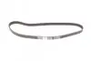 Комплект ГРМ + помпа Opel Astra/Vectra/Omega/Daewoo Nubira/Chevrolet Lacetti 1.8-2.0i 94-01(24x169z) CONTINENTAL CT870WP2 (фото 4)