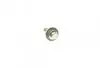 Комплект ГРМ Mazda 2/Ford Fiesta/Focus/Volvo S40/V50 1.25i-1.6 16V 95- (22x117z) CONTINENTAL CT881K2 (фото 11)