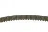 Комплект ГРМ Mazda 2/Ford Fiesta/Focus/Volvo S40/V50 1.25i-1.6 16V 95- (22x117z) CONTINENTAL CT881K2 (фото 2)