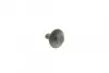 Комплект ГРМ Mazda 2/Ford Fiesta/Focus/Volvo S40/V50 1.25i-1.6 16V 95- (22x117z) CONTINENTAL CT881K2 (фото 9)
