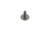 Комплект ГРМ Mazda 2/Ford Fiesta/Focus/Volvo S40/V50 1.25i-1.6 16V 95- (22x117z) CONTINENTAL CT881K2 (фото 10)