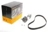 Комплект ГРМ + насос VW Caddy III/T5 2.0 EcoFuel 06-15 CT908WP2