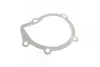 Комплект ГРМ + насос Citroen Berlingo/Jumper/Peugeot Boxer/Expert/Partner 2.0HDi 98-09 (25x141z) CONTINENTAL CT987WP1 (фото 14)