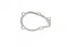 Комплект ГРМ + насос Citroen Berlingo/Jumpy/Xsara/Peugeot 206/Expert/Partner 2.0HDI 98-11 (25x141z) CONTINENTAL CT987WP2 (фото 5)