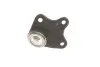 Опора шаровая (передняя/снизу/R) Skoda Fabia/VW Polo 1.2/1.9TDI 99-10 CORTECO 49399271 (фото 2)