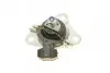 Подушка двигуна (R) Renault Megane I/Scenic I 1.9dTi/dCi 97-03 CORTECO 80001199 (фото 6)