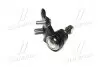 Опора шаровая (передняя/снизу) Toyota Camry 01-11/Lexus RX 03-08 Л. (CBT-57L) CTR CB0402L (фото 4)