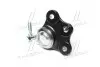 Опора кульова нижня Opel Astra G/H Vectra B Omega B Zafira A/B Meriva B 98- NEW CB0463 CTR CBG-79 (фото 3)