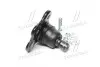 Опора кульова нижня Opel Astra G/H Vectra B Omega B Zafira A/B Meriva B 98- NEW CB0463 CTR CBG-79 (фото 4)