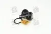 Опора шаровая нижня Hyundai i10 07- NEW CB0219 CTR CBKK-16 (фото 2)