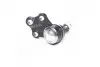 Опора кульова нижня Nissan Pathfinder R50 97-04 NEW CB0325 CTR CBN-64 (фото 3)