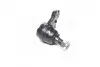 Опора кульова нижня Nissan Pathfinder R50 97-04 NEW CB0325 CTR CBN-64 (фото 4)