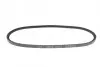 Ремень генератора VW LT 2.4D/TD-96 DAYCO 10A0813C (фото 2)