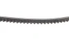 Ремень генератора BMW 3/VW Passat 1.6TD/1.9D 88-93 DAYCO 10A0960C (фото 4)