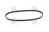 Ремень генератора Toyota Avensis/Carina/Celica/Corolla 1.6 -01 DAYCO 3PK630 (фото 3)