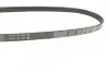 Ремінь генератора BMW 3 (E36)/5 (E39)/7 (E38) 2.5TD DAYCO 4PK780 (фото 2)