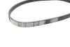 Ремень генератора Smart 450/452 M160 98-07 DAYCO 4PK788 (фото 2)