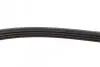 Ремень генератора Smart 450/452 M160 98-07 DAYCO 4PK788 (фото 3)