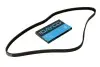 Ремінь генератора Citroen Berlingo1.1-1.6 96-11/Toyota Camry 3.0 91-96 DAYCO 4PK812 (фото 1)