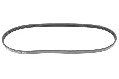 Ремень генератора BMW 3 (E46)/5 (E39/E60/E61)/X5 (E53) 2.0-4.8i 00-06 M54/N62 DAYCO 4PK860