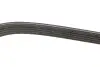 Ремень генератора Suzuki Baleno 1.8 96-02 DAYCO 5DPK1550 (фото 2)