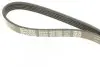 Ремінь генератора Toyota Camry/ Celica/ Rav4 1.8-2.0 83-00 DAYCO 5PK1000 (фото 4)
