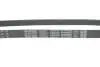 Ремень генератора Hyundai i10/i20 1.2 08- (5PK898) DAYCO 5PK898EE (фото 4)