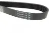Ремінь генератора VW Caddy 1.9D/SDI -03 (WP,TP) DAYCO 6PK1035 (фото 2)