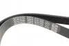 Ремінь генератора VW Caddy 1.9D/SDI -03 (WP,TP) DAYCO 6PK1035 (фото 3)