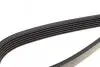 Ремінь генератора VW Caddy 1.9D/SDI -03 (WP,TP) DAYCO 6PK1035 (фото 4)