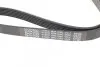 Ремінь генератора Lexus RX 03-08 DAYCO 6PK1040 (фото 4)