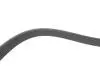 Ремень генератора Citroen C2/C3/C4/Peugeot 206/207/307 1.4/1.6 HDi 04- DAYCO 6PK1090EE (фото 3)